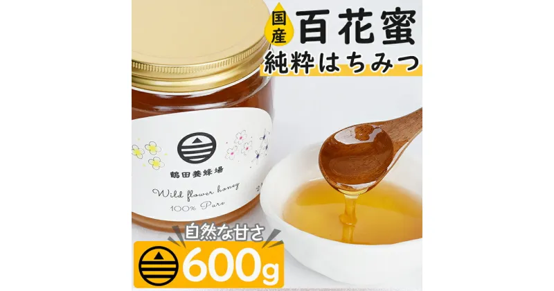 【ふるさと納税】＜数量限定＞南国指宿の花々から採れた純粋はちみつ(600g) 鹿児島県産 国産 純粋はちみつ 百花蜜 蜂蜜 はちみつ ハニー ヨーグルト パン 常温 常温保存【鶴田養蜂場】