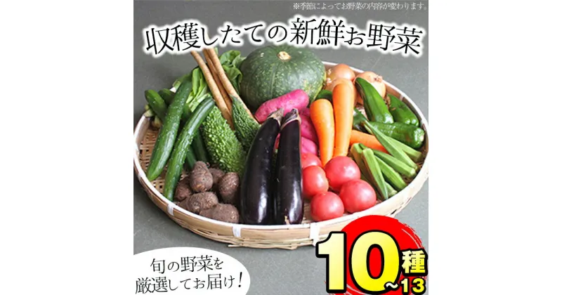 【ふるさと納税】旬の野菜をお届け！鹿児島県指宿産の季節の野菜の詰め合わせ(10～13品目) 鹿児島 野菜 季節の野菜 旬の野菜 旬 詰合せ セット 国産【岡村商店】