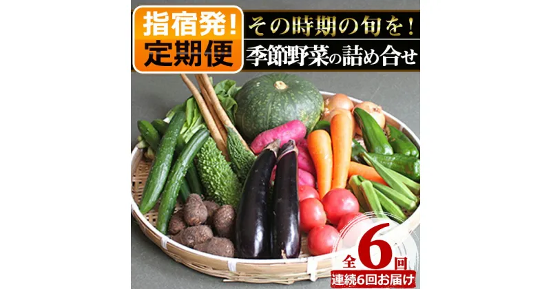 【ふるさと納税】＜定期便！翌月から連続全6回＞指宿産季節野菜の詰め合わせ(10～13品目) 鹿児島 野菜 季節の野菜 旬の野菜 旬 詰合せ セット 国産 冷蔵 定期便 やさい【岡村商店】