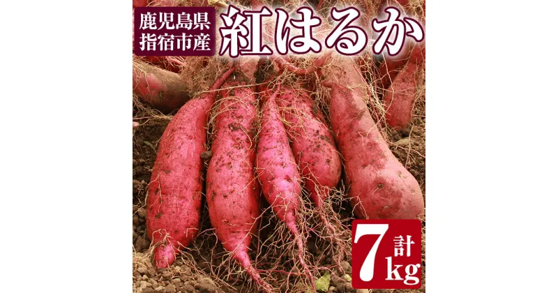 【ふるさと納税】鹿児島県指宿産さつまいも！紅はるか(約7kg) 鹿児島 さつまいも さつま芋 サツマイモ 紅はるか スイーツ おやつ デザート お菓子 常温 常温保存【アグリスタイル】