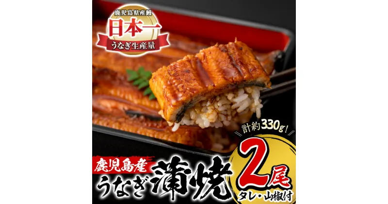 【ふるさと納税】鹿児島県産！うなぎ蒲焼(無頭背開き)約165g×2尾(タレ・山椒付) うなぎ 鰻 ウナギ 鹿児島 国産 蒲焼き かばやき 冷凍 うな重 ひつまぶし【山中水産】