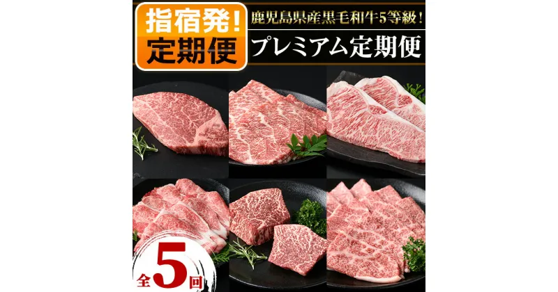 【ふるさと納税】＜定期便・全5回(連続)＞数量限定！鹿児島県産黒毛和牛5等級プレミアム定期便！ 定期便 鹿児島 肉 豚肉 黒豚 牛肉 黒毛和牛 ステーキ すき焼き 焼肉 しゃぶしゃぶ ヒレ ランプ サーロイン ロース ウデ 肩ロース バラ モモ【水迫畜産】