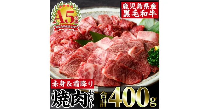 【ふるさと納税】A5等級鹿児島県産黒毛和牛食べ比べ焼肉セット(計400g・赤身焼肉200g×1・霜降り焼肉200g×1) 肉 牛肉 牛 赤身 黒毛和牛 霜降り 焼肉 セット 食べ比べ 5等級 バーベキュー BBQ 特産品【カミチク】