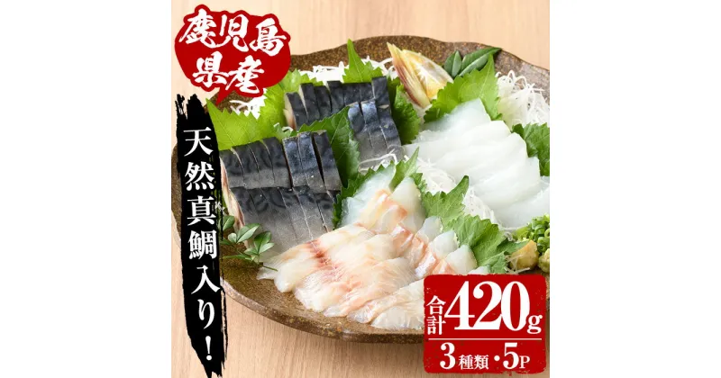 【ふるさと納税】天然真鯛入り！切れてる冷凍お刺身セット(合計420g・3種5P) 鹿児島 お刺身 刺身 海鮮 魚 天然真鯛 真鯛 昆布締め しめさば 鯖 サバ ソデイカ イカ おかず おつまみ 詰合せ セット 真空パック 冷凍【指宿山川水産合同会社】