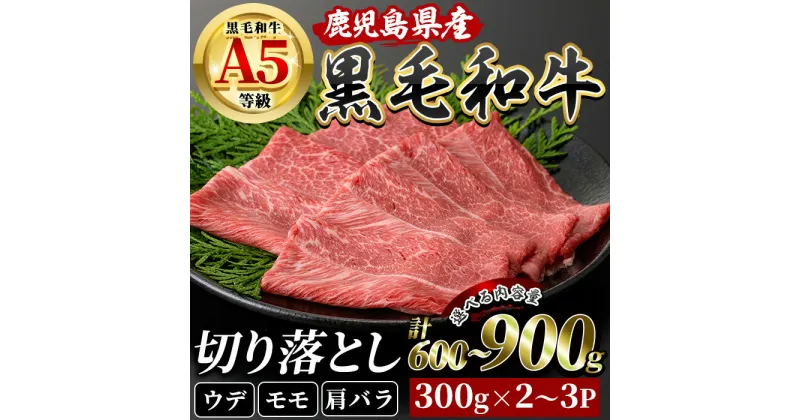 【ふるさと納税】＜内容量が選べる＞鹿児島産黒毛和牛5等級(A5)！切落し(計600～900g)鹿児島県 黒毛和牛 和牛 牛肉 牛 肉 ウデ モモ 肩バラ 切り落とし 切落し 国産 冷凍 A5 5等級 選べる【水迫畜産】