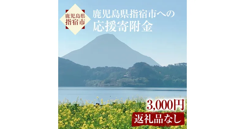 【ふるさと納税】≪返礼品なし≫鹿児島県指宿市への応援寄附金(1口：3000円)