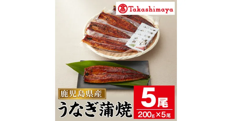 【ふるさと納税】＜高島屋選定品＞鹿児島県産うなぎ蒲焼じっくり焼き(約200g×5尾・たれ・山椒付) うなぎ 鰻 ウナギ 鹿児島 国産 蒲焼き かばやき 冷凍 うな重 ひつまぶし うな丼 おかず 贈答 プレゼント ギフト 【高島屋】