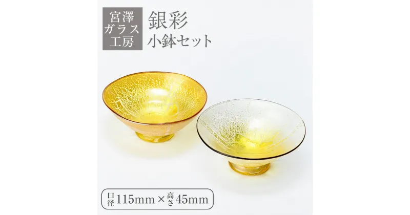 【ふるさと納税】＜ガラス工芸品＞銀彩小鉢セット(2個・口径 約115mm×高さ 約45mm) 工芸品 ガラス 小鉢 一品料理 お祝い 記念日 ギフト プレゼント 贈り物【宮澤ガラス工房】