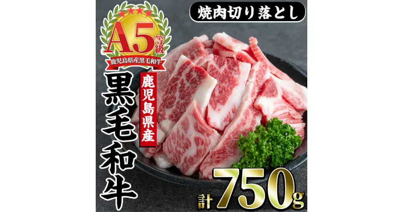 【ふるさと納税】A5等級鹿児島県産黒毛和牛焼肉切り落とし(計750g・250g×3P) 牛肉 牛 肉 お肉 黒毛和牛 黒毛 国産牛 国産 鹿児島県産 バーベキュー 切落し 和牛 A5 A5ランク ミスジ ウワミスジ インサイド ミックス キャンプ 炒め物 家庭用 冷凍 小分け【カミチク】